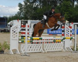 horse Lumumba 15 (Oldenburg show jumper, 2003, from Landgold)