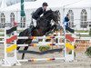 stallion Laughton 3 (Oldenburg show jumper, 2009, from L'Ami)