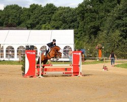 dressage horse Encanto 5 (Westphalian, 2005, from Ehrentusch)