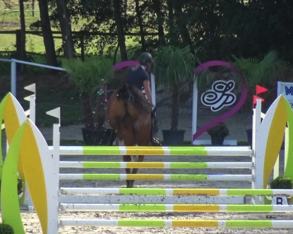 Bergisch Classics - Hebborner Hof 2018