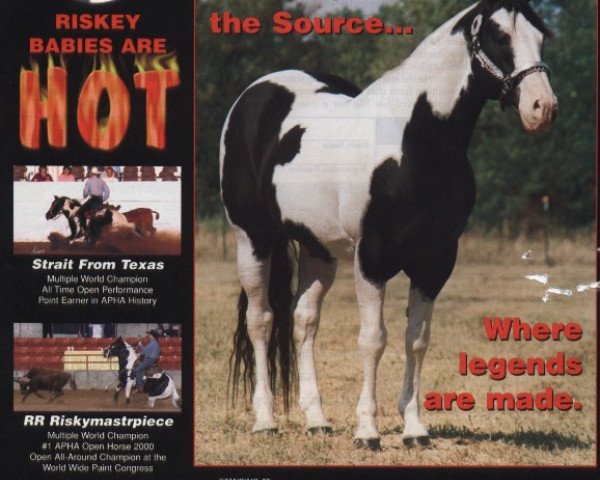 stallion Ris Key Business (Quarter Horse, 1984, from Cheyenne Moon Bar)