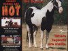 stallion Ris Key Business (Quarter Horse, 1984, from Cheyenne Moon Bar)
