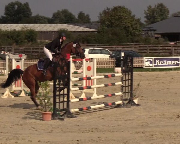 Reitturnier Schülp / Rendsburg 2018