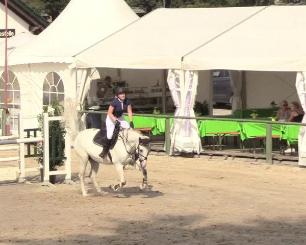 Reitturnier Datteln 2018