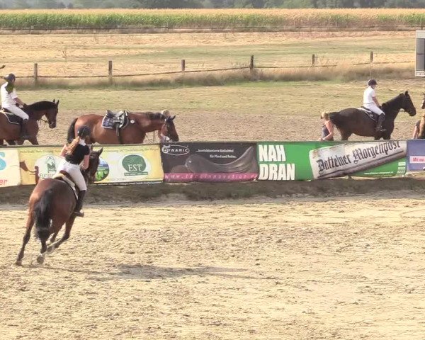 Reitturnier Datteln 2018