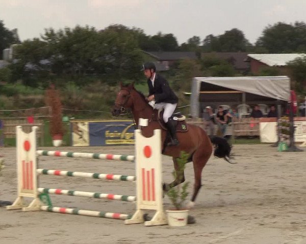 Reitturnier Schülp / Rendsburg 2018