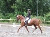 broodmare Hardrock Lady (German Sport Horse, 2009, from Relius)