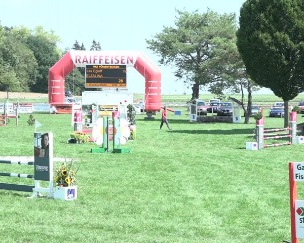 Springkonkurrenz Aadorf 2018