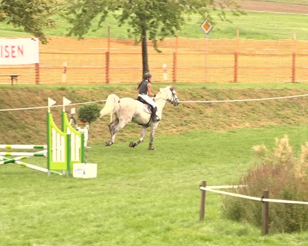 Springkonkurrenz Aadorf 2018