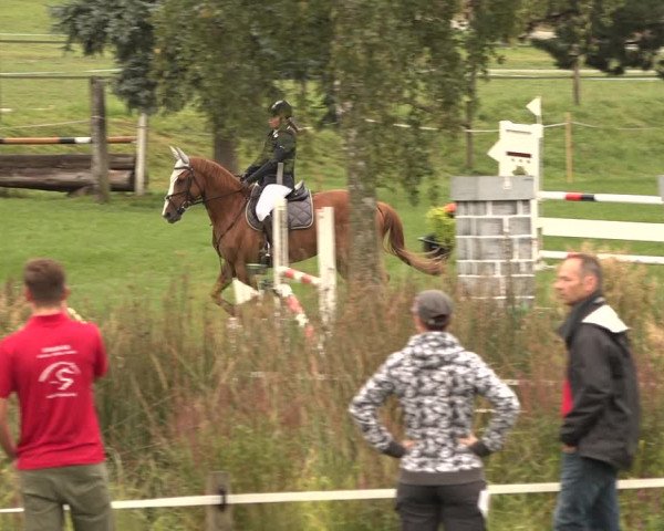 Springkonkurrenz Aadorf 2018