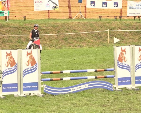 Springkonkurrenz Aadorf 2018