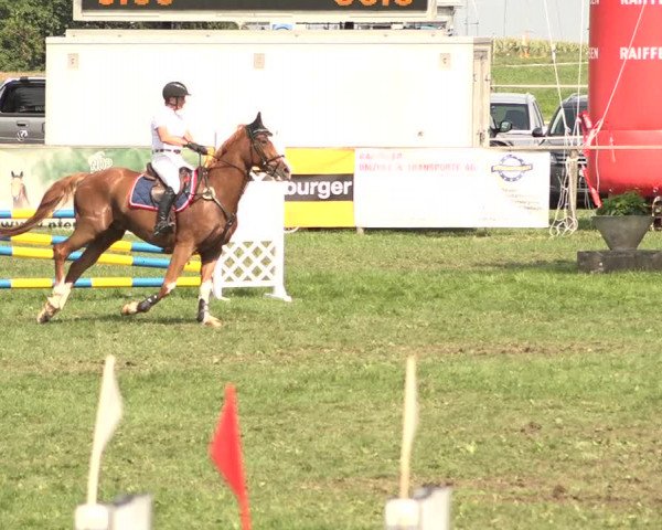 Springkonkurrenz Aadorf 2018
