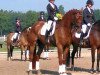 dressage horse Treskow (Trakehner, 2011, from Linne)