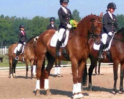 dressage horse Treskow (Trakehner, 2011, from Linne)