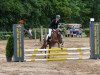 dressage horse Flicka (Welsh-Cob (Sek. C), 1999)