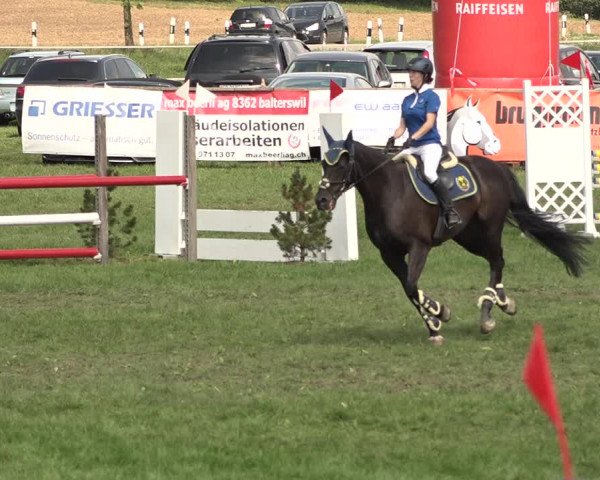 Springkonkurrenz Aadorf 2018