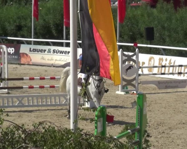 Reitturnier Hachenburg 2018