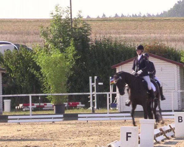 Reitturnier Menden 2018