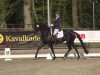 dressage horse Felicitas H (Oldenburg, 2011, from Fürstenball)