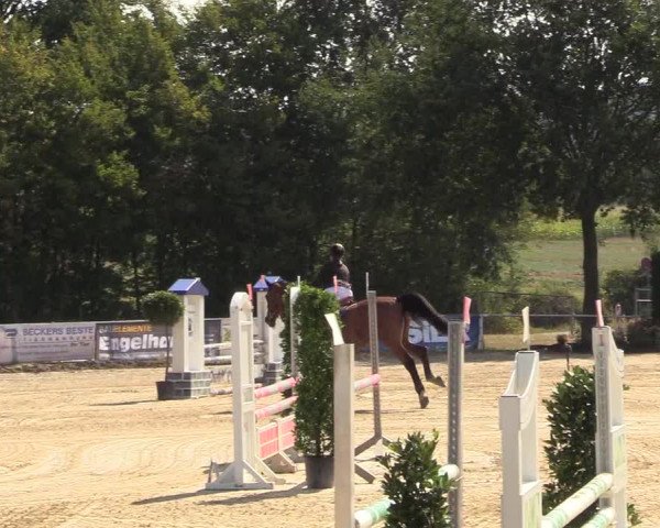 Reitturnier Menden 2018