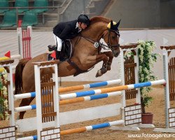 jumper Faron O'Hesseln (KWPN (Royal Dutch Sporthorse), 2010, from Chello III VDL)