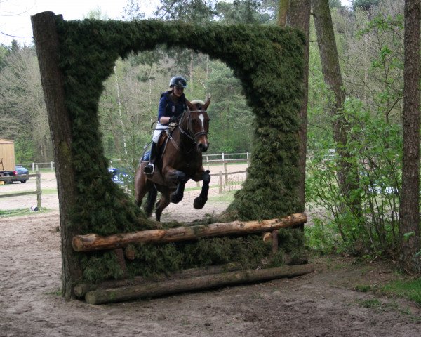 jumper Resilience (Little German Riding Horse, 2003, from Sambero)
