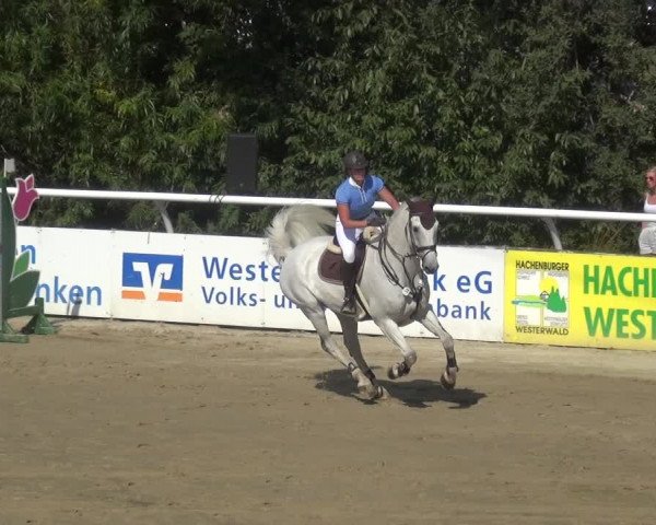 Reitturnier Hachenburg 2018