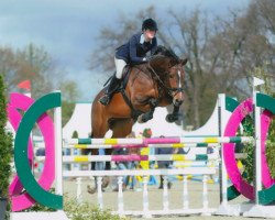 jumper Freina Baita (KWPN (Royal Dutch Sporthorse), 2010, from Carthino Z)