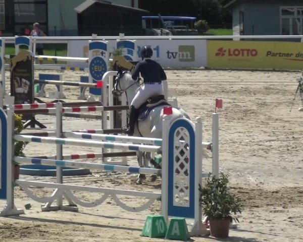 Reitturnier Hachenburg 2018
