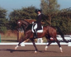 dressage horse Enzian (Westphalian, 1995, from Ehrentanz I)