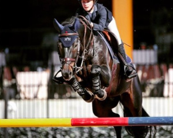 jumper Diadeem (KWPN (Royal Dutch Sporthorse), 2008, from Whitaker)