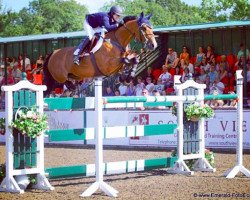 jumper Belmont (Canadian Warmblood, 2001, from Ahorn)