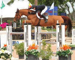 jumper Teirra (KWPN (Royal Dutch Sporthorse), 2000, from Tolano van het Riethof)