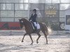 dressage horse Blokland's Hoeve's Amor (Nederlands Welsh Ridepony, 2005, from Orchard Boginov)