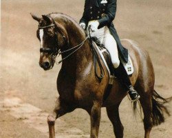 horse Walk on Top (Hanoverian, 1985, from Wenzel I)