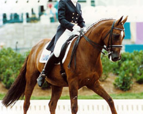 horse Mosaic (New Zealand Warmblood, 1983, from Witzbold)