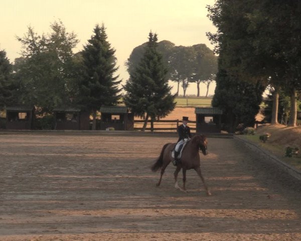 Reitturnier Datteln 2018