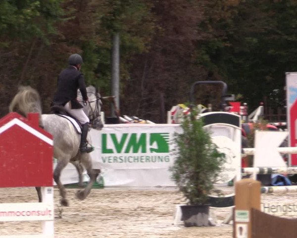 Reitturnier Münster-Albachten 2018