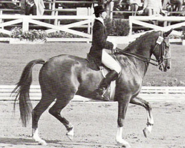 horse Ajax (Thoroughbred, 1957, from Jovial)