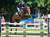 broodmare Genith-Musterd (KWPN (Royal Dutch Sporthorse), 2011, from Ustinov)