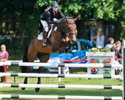 Zuchtstute Genith-Musterd (KWPN (Niederländisches Warmblut), 2011, von Ustinov)