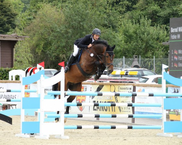 jumper Fobke HH (KWPN (Royal Dutch Sporthorse), 2010, from Arizona)