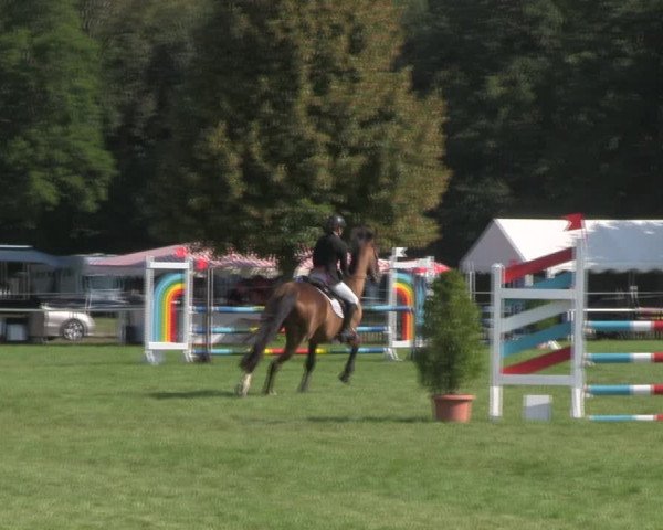Reitturnier Wulkow 2018