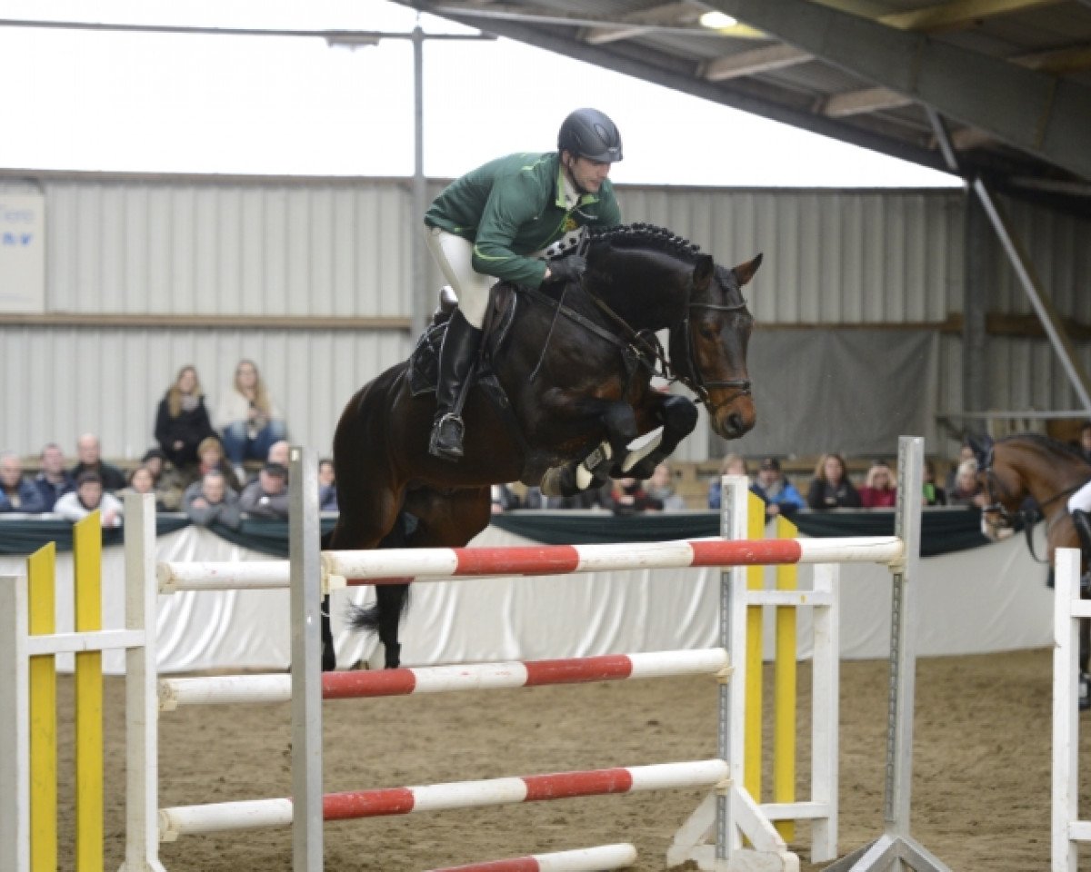 Springpferd Carmos (Holsteiner, 2010, von Cormint)
