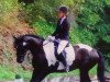 dressage horse Claudius 70 (KWPN (Royal Dutch Sporthorse), 2013)