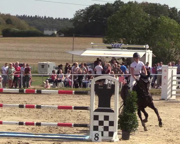 Reitturnier Menden 2018
