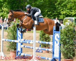 jumper Curiosa 3 (Oldenburg show jumper, 2009, from Champion For Pleasure)