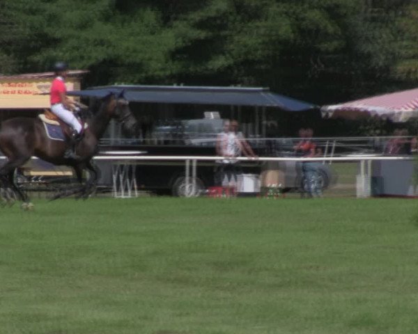 Reitturnier Wulkow 2018