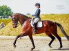 dressage horse Barrichello (KWPN (Royal Dutch Sporthorse), 2006, from Jazz)