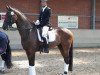 dressage horse Estella 80 (Westphalian, 2007, from Ehrentanz I)